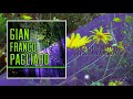 Algo Parecido A Ti - Gian Franco Pagliaro / Discos Fuentes [Audio Oficial]