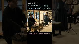 Download lagu Saint-Saëns/ The Swan【violin＆筝】サン=サーンス/白鳥 #shorts  #violin  #箏曲 mp3