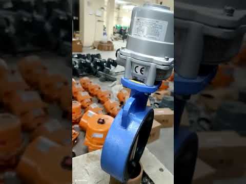 Slurry Butterfly Valves Actuators