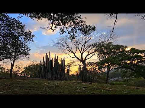 Los matapalitos corinto morazan #ElSalvador 