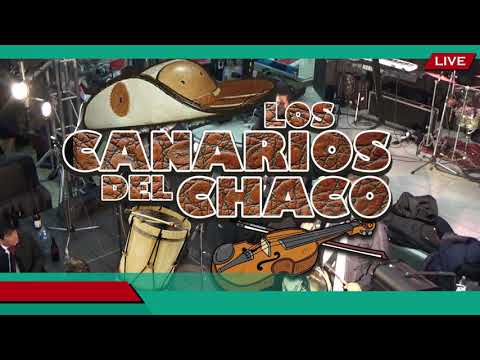 Los canarios del chaco En Vivo