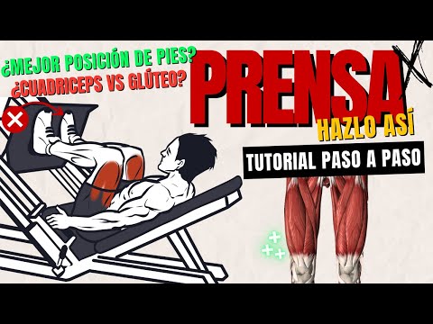 Prensa de piernas