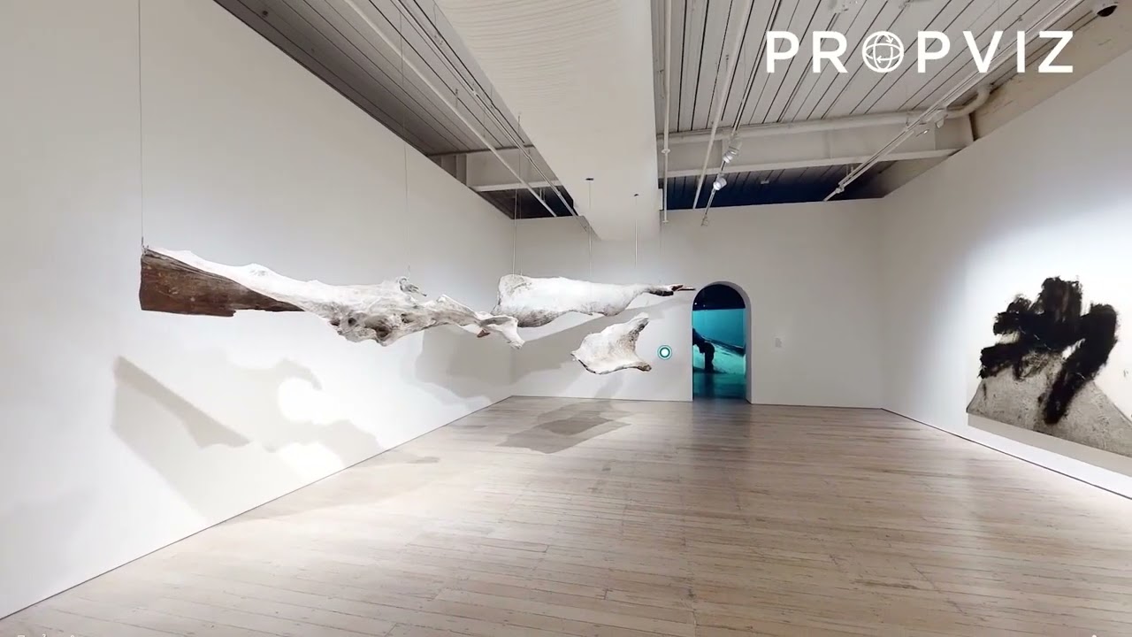 White Rabbit Gallery Virtual Tour  AND NOW