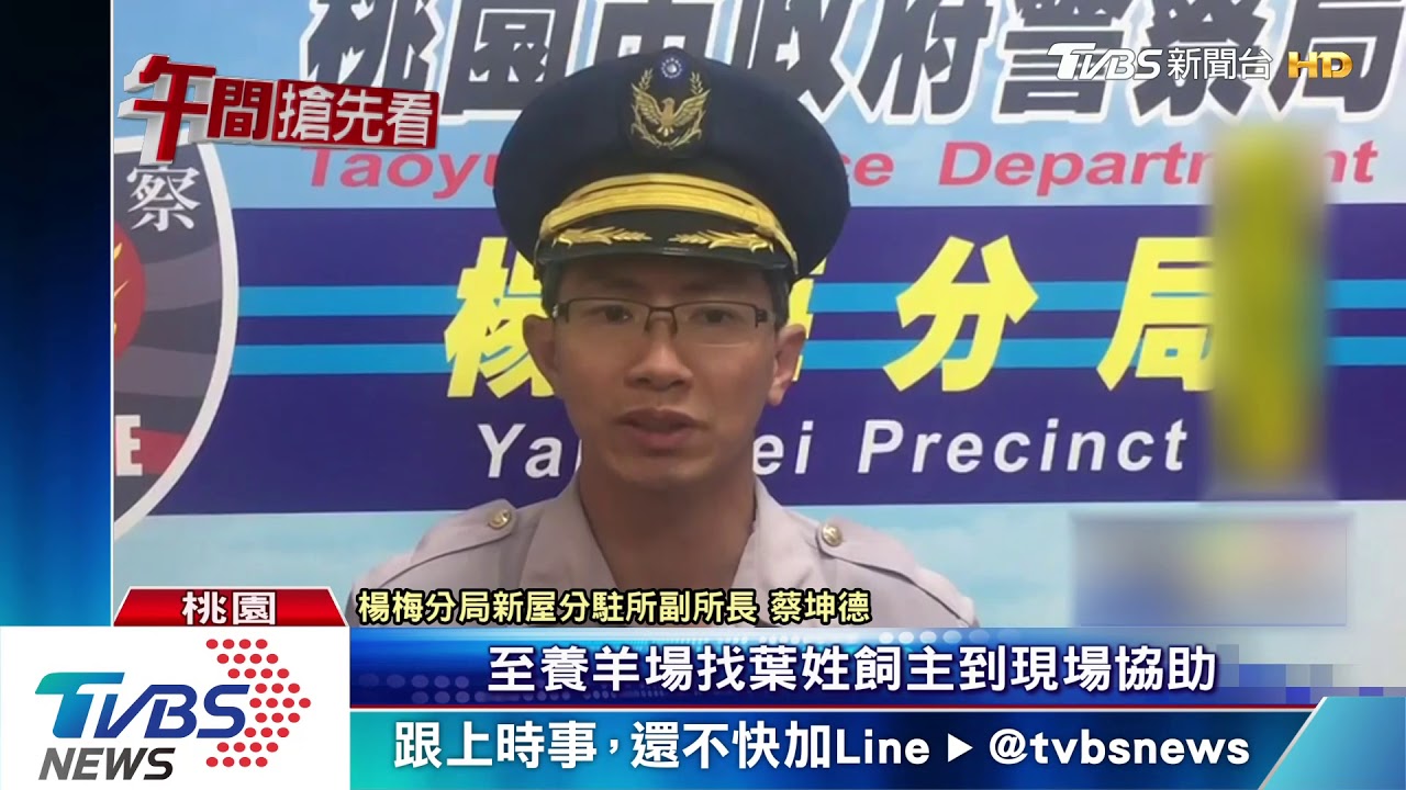迷途羔羊!闖台66線高架狂奔 遭警圍捕