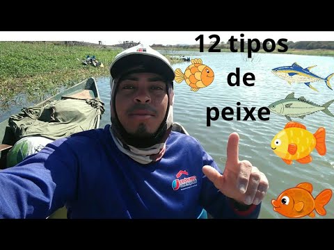 12 tipos de peixe no açude de Coremas Paraíba