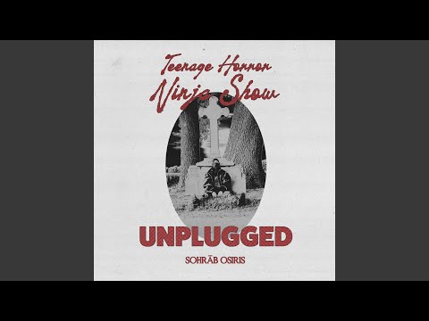 Stalker (Unplugged Version)