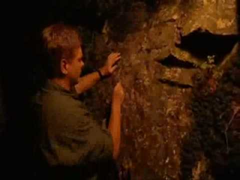 Aboriginal Britain Ray Mears Bushcraft  S1E1 part 6