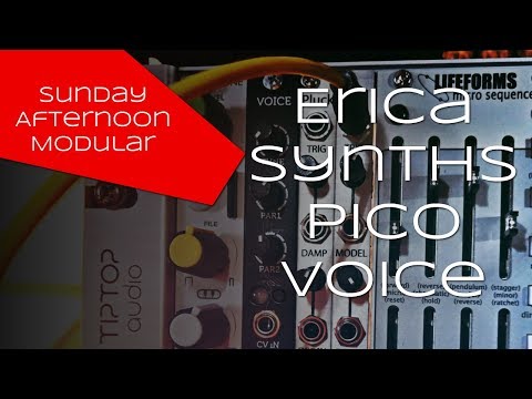 Erica Synths Pico Voice image 2