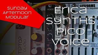 Video thumbnail for Erica Synths Pico Voice Introduction by SundayAfternoonModular