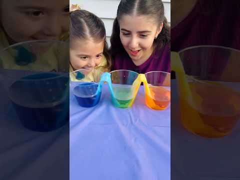 Mixing Colors Walking Water Science Experiment for Kids CAPILLARY ACTION