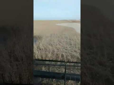 Zona rural entre Laboulaye y Villa Rossi