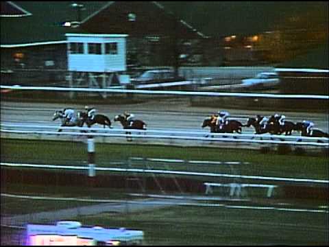 1988 Breeders' Cup Classic