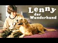 Lenny Der Wunderhund ABENTEUER KOMÖDIE Für Die Ganze Familie Kompletter HUNDEFILM