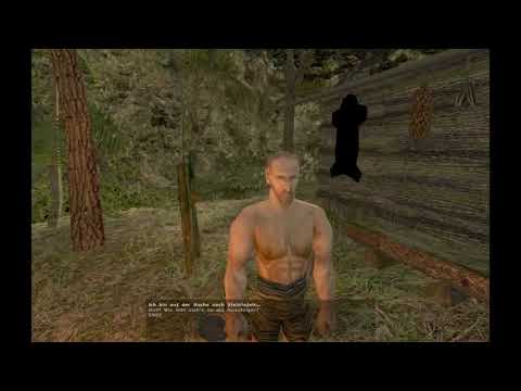 Gothic 2 DNDR Walkthrough German (no commentary) - 144 - Orks, Eremit, letzter Teleporter