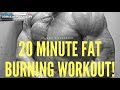 20 Minute Fat Burning Workout!
