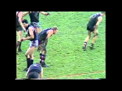 StKilda  v  Carlton  rd 15 1988 Sportsworld panel review
