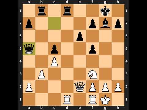 Vladimir Akopian-Alexey Dreev, Tilburg 1992, Result: 1/2-1/2