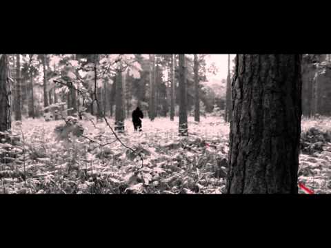 Ant Appleby - Freelance Video Editor video.