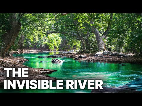 The Invisible River | Extraordinary Biodiversity
