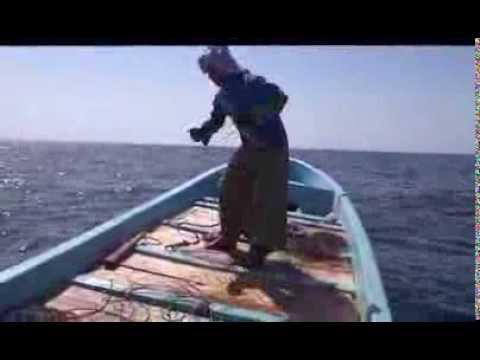 صيد سمك الجيذر (أبو شامس السنيدي)