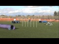 2010 2 20 Barney Snakes N Ladders Mpg