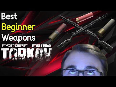 What Beginner Guns are Best? | Guide | Escape From Tarkov