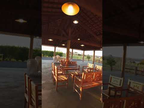 25 de novembro de 2025