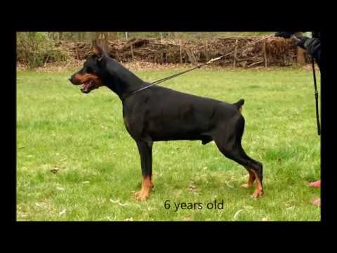 Jovanotti Unreachables - IPO 1 C