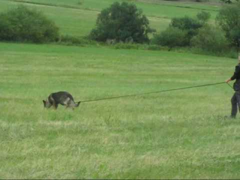 Astoria Daniel Bohemia - Stopa červenec 2010