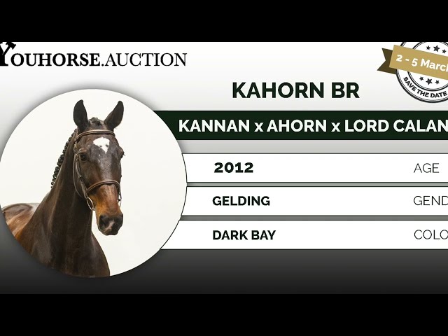 Kahorn dressage