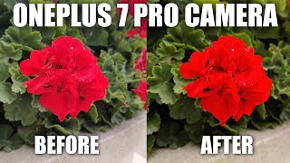 OnePlus 7 Pro Camera Review After Update (9.5.7)