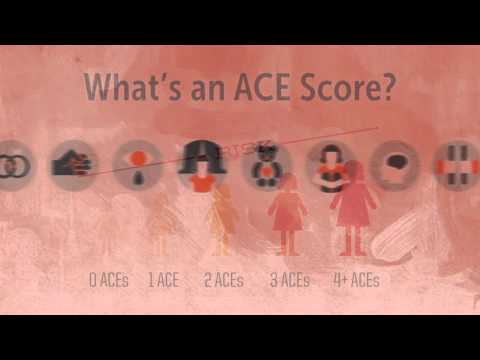 ACES Primer HD