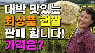 정말 맛있는 최상품 햅쌀 저렴하게 판매합니다 산지직송 쌀판매 쌀10kg 쌀20kg 여주쌀 이천쌀 철원쌀 강화…