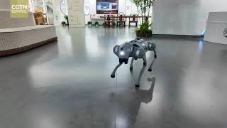 ¿Qué harías con un robot ágil y perceptivo?