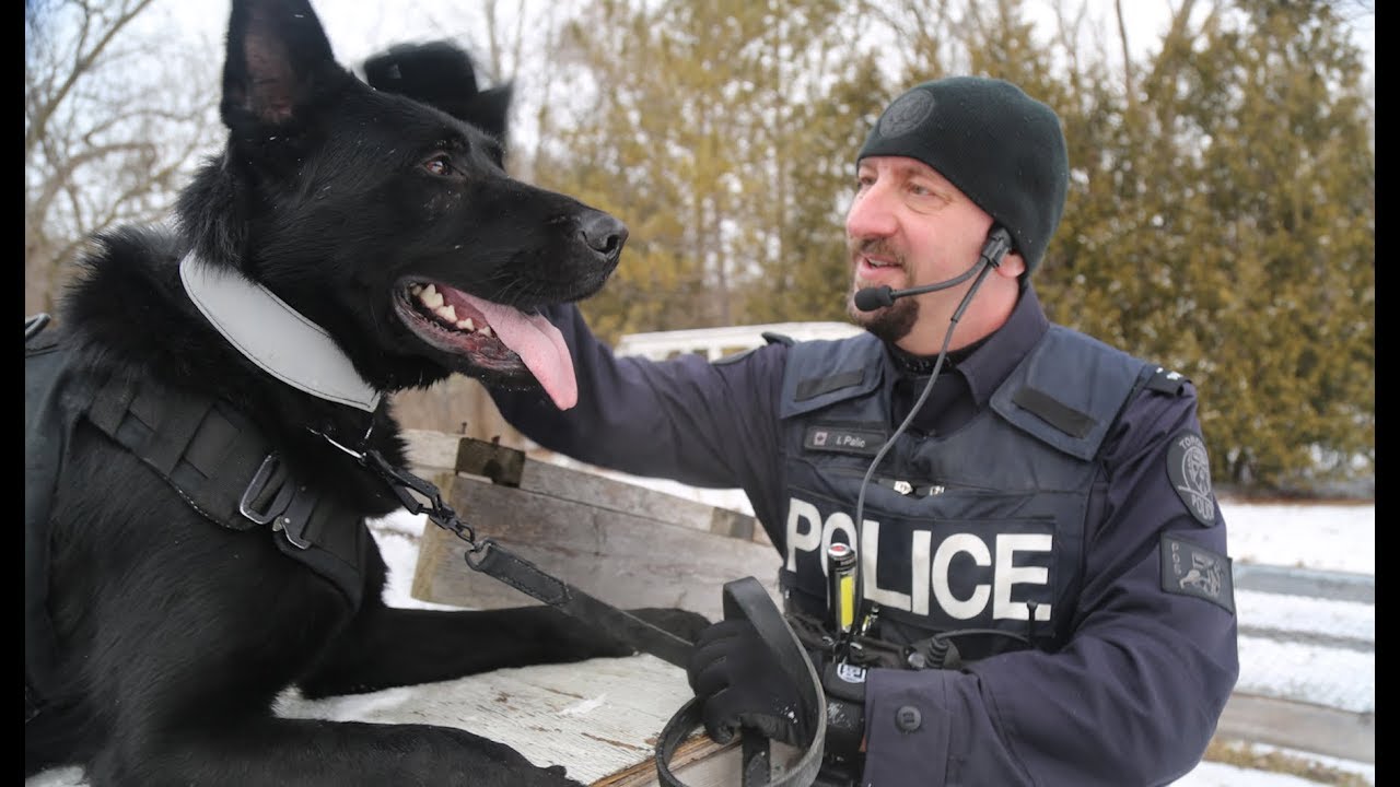 Constable Igor Palic and new canine partner Aleksa