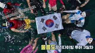 울릉도 프리다이빙투어 3일차