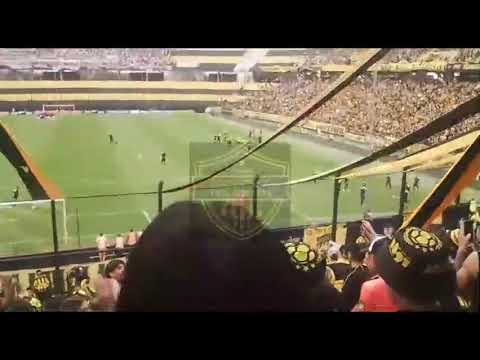 Previa y Recibimiento