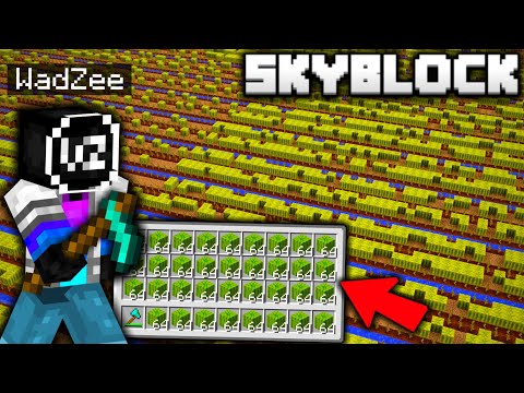 WadZee - I Built the BIGGEST MELON FARM EVER on Minecraft Skyblock!