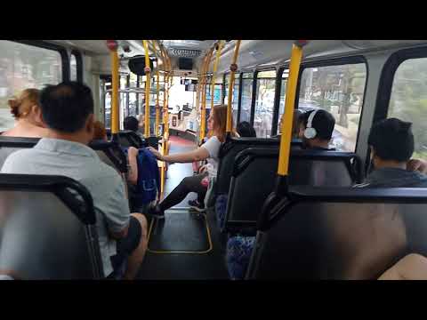 Transit Systems - 2445 - Scania K280UB/CC CB80[Kingsgrove](492 - Rockdale)