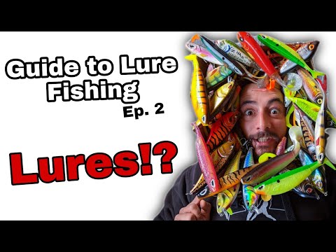 Guide to Lure Fishing - What Lures to use!?