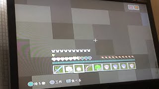 マイクラ