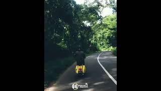 Download lagu Story wa vespa mp3