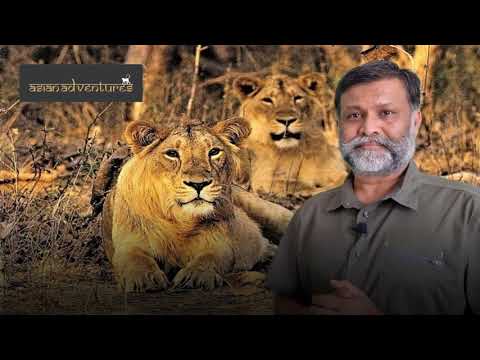 Wildlife Sanctuary In Gujarat