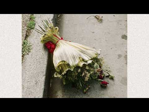 delfina campos - malas decisiones (official audio)