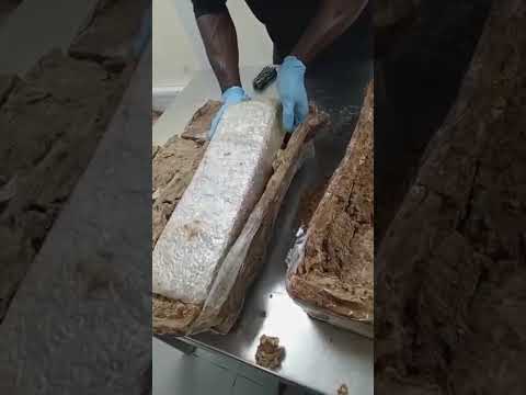 NDLEA intercepts ₦6.2 billion worth of ‘Jihadi drug’ and opioids at Lagos airport.