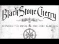 Black Stone Cherry Blame It On The Boom Boom Audio