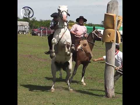 Rueda en Clina Esta de PIE en Campo El Matrero en Macia Entre Rios