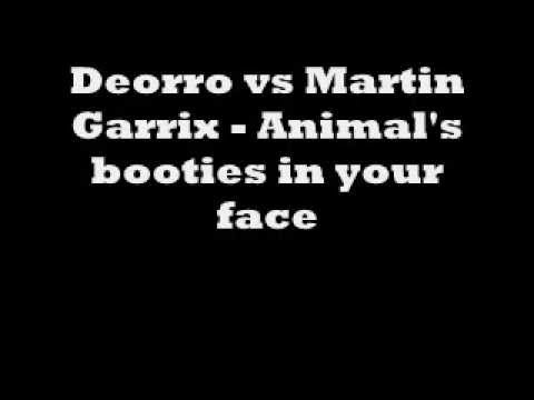 Deorro vs Martin Garrix - Animal's booties in your face (AmneZia MashUp)