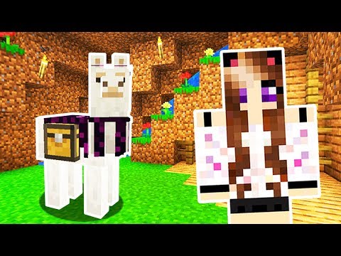 COSTRUIAMO LA NUOVA STALLA PER I LAMA! 🦙