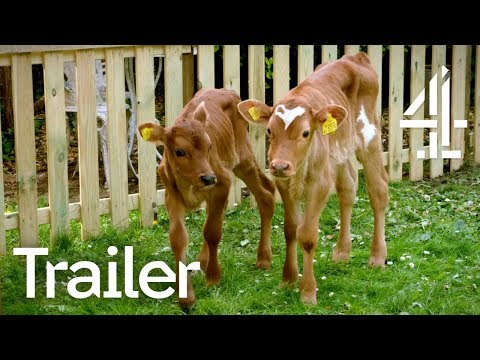 TRAILER｜ミート・ザ・ファミリー｜4つの動画で見る (TRAILER | Meat the Family | Watch on All 4)